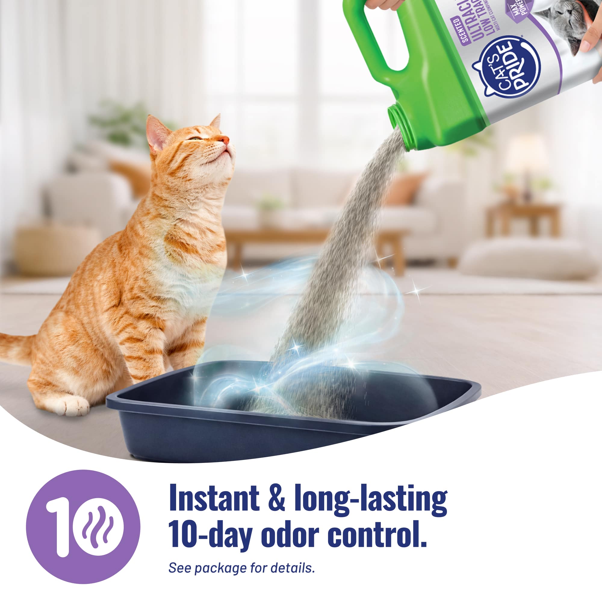 Max Power: UltraClean Scented - Image 7