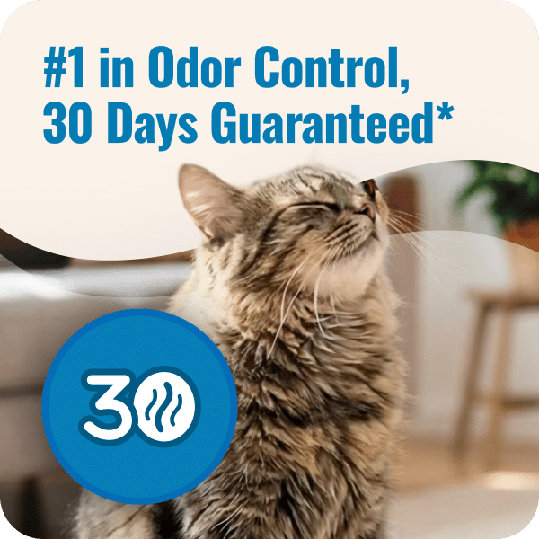 Cat's Pride Total Odor Control Unscented Micro Crystals - Image 12